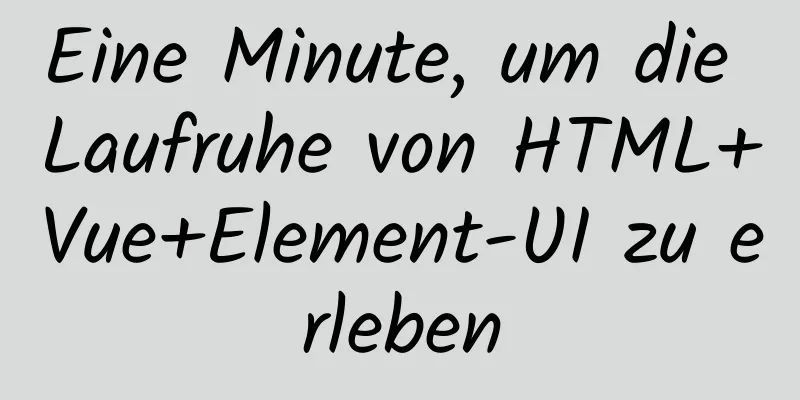 Eine Minute, um die Laufruhe von HTML+Vue+Element-UI zu erleben