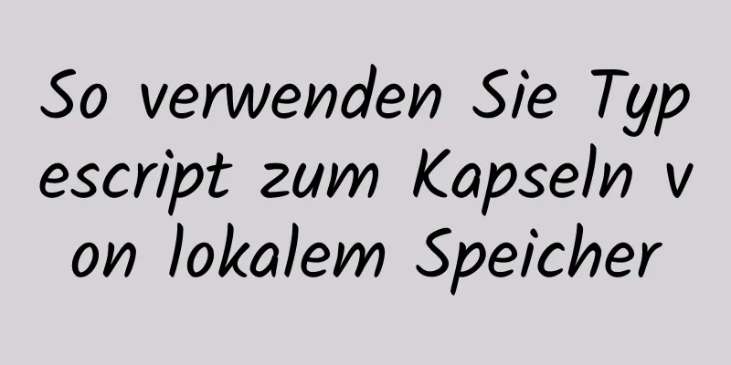 So verwenden Sie Typescript zum Kapseln von lokalem Speicher