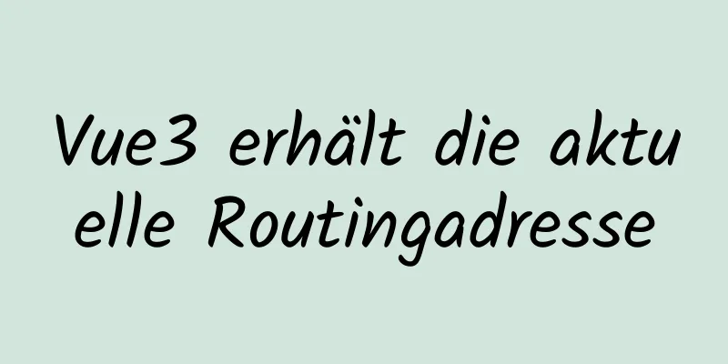 Vue3 erhält die aktuelle Routingadresse