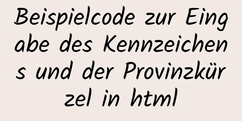 Beispielcode zur Eingabe des Kennzeichens und der Provinzkürzel in html