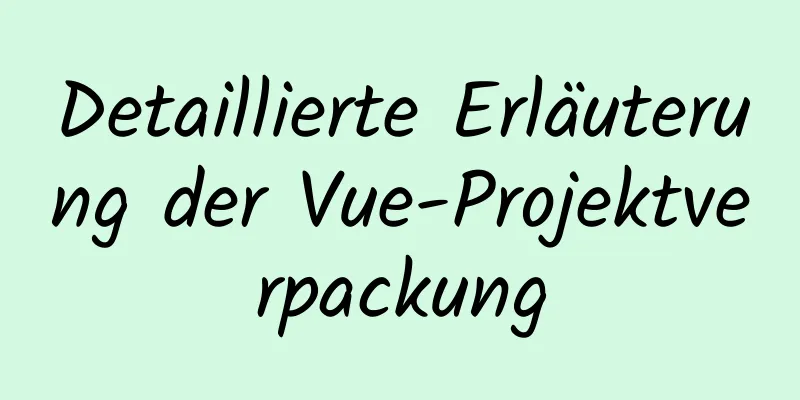 Detaillierte Erläuterung der Vue-Projektverpackung