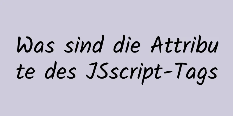 Was sind die Attribute des JSscript-Tags