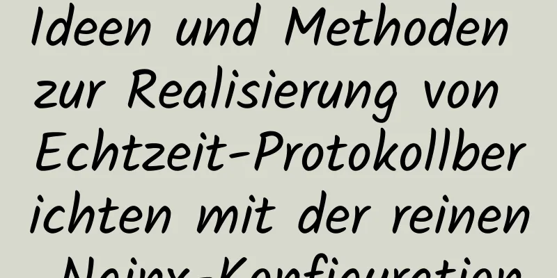 Ideen und Methoden zur Realisierung von Echtzeit-Protokollberichten mit der reinen Nginx-Konfiguration