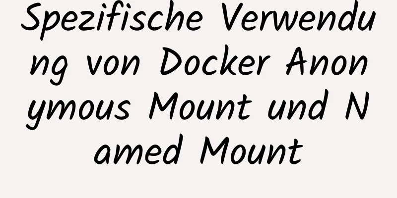 Spezifische Verwendung von Docker Anonymous Mount und Named Mount