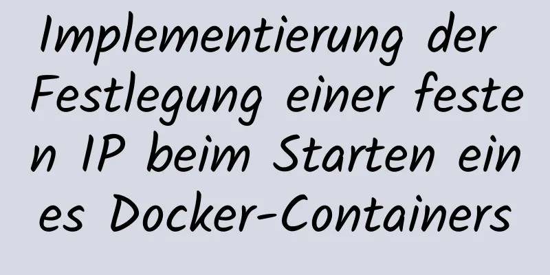 Implementierung der Festlegung einer festen IP beim Starten eines Docker-Containers