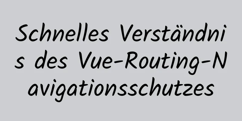 Schnelles Verständnis des Vue-Routing-Navigationsschutzes