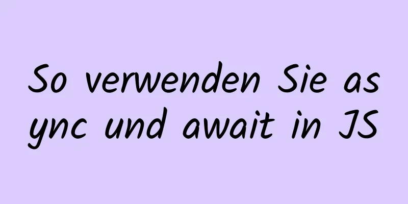 So verwenden Sie async und await in JS