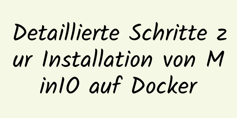 Detaillierte Schritte zur Installation von MinIO auf Docker