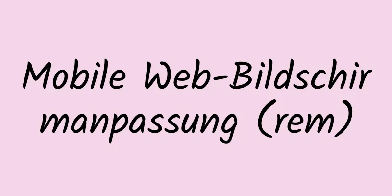 Mobile Web-Bildschirmanpassung (rem)