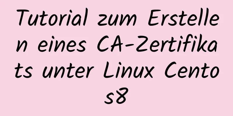 Tutorial zum Erstellen eines CA-Zertifikats unter Linux Centos8