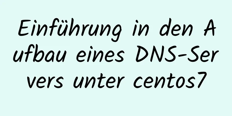 Einführung in den Aufbau eines DNS-Servers unter centos7