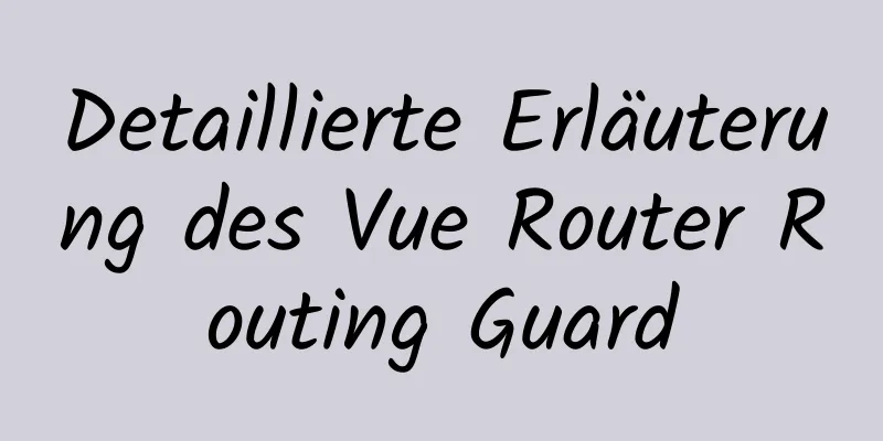 Detaillierte Erläuterung des Vue Router Routing Guard