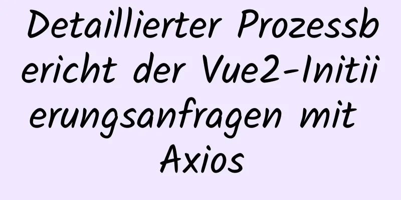 Detaillierter Prozessbericht der Vue2-Initiierungsanfragen mit Axios