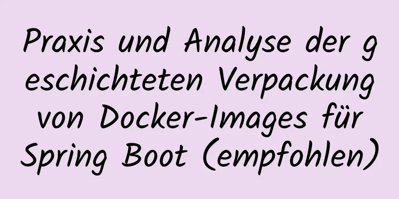 Praxis und Analyse der geschichteten Verpackung von Docker-Images für Spring Boot (empfohlen)