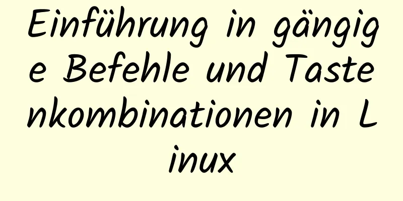 Einführung in gängige Befehle und Tastenkombinationen in Linux