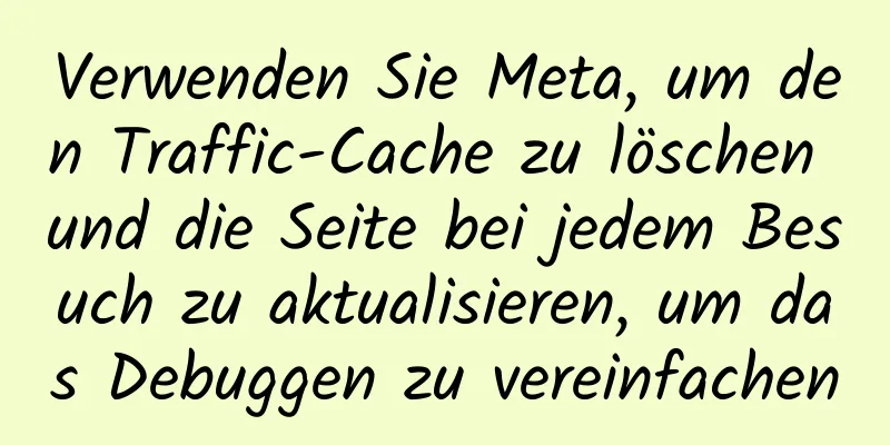 Verwenden Sie Meta, um den Traffic-Cache zu löschen und die Seite bei jedem Besuch zu aktualisieren, um das Debuggen zu vereinfachen