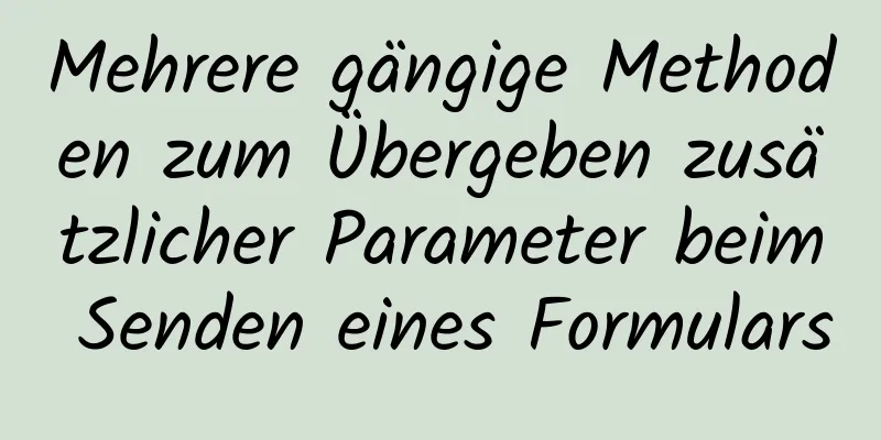 Mehrere gängige Methoden zum Übergeben zusätzlicher Parameter beim Senden eines Formulars