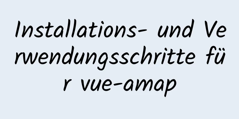 Installations- und Verwendungsschritte für vue-amap