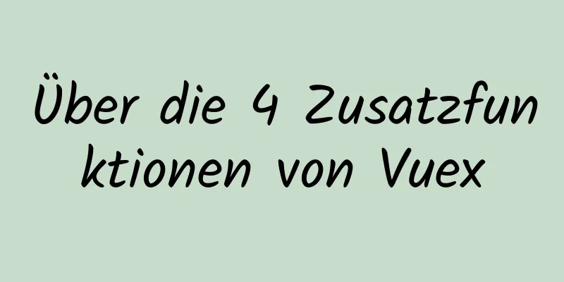 Über die 4 Zusatzfunktionen von Vuex