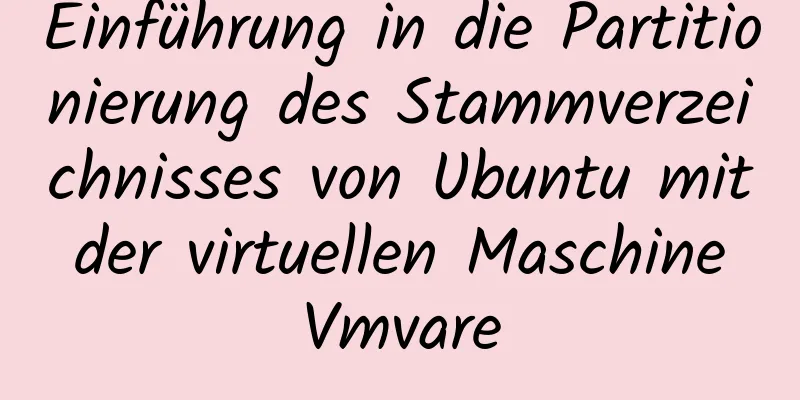 Einführung in die Partitionierung des Stammverzeichnisses von Ubuntu mit der virtuellen Maschine Vmvare