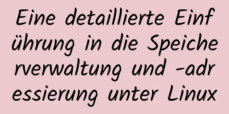 Eine detaillierte Einführung in die Speicherverwaltung und -adressierung unter Linux