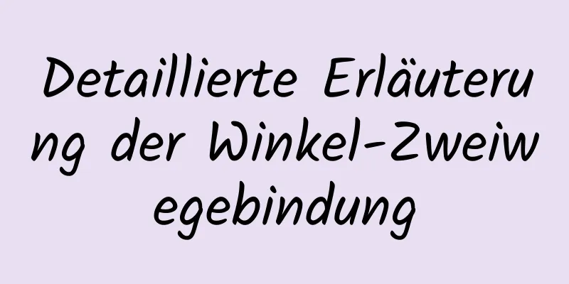 Detaillierte Erläuterung der Winkel-Zweiwegebindung