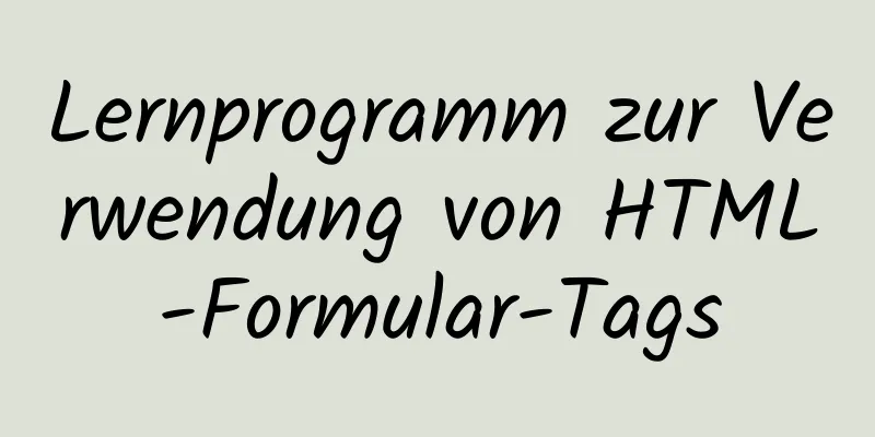 Lernprogramm zur Verwendung von HTML-Formular-Tags