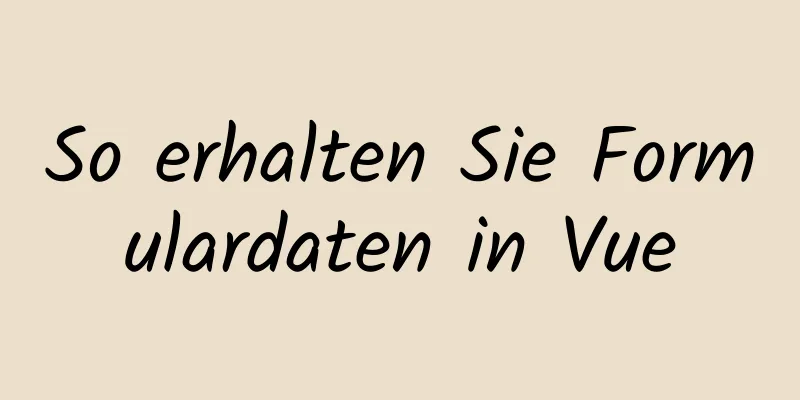 So erhalten Sie Formulardaten in Vue