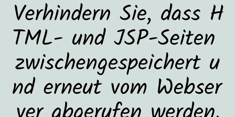 Verhindern Sie, dass HTML- und JSP-Seiten zwischengespeichert und erneut vom Webserver abgerufen werden.