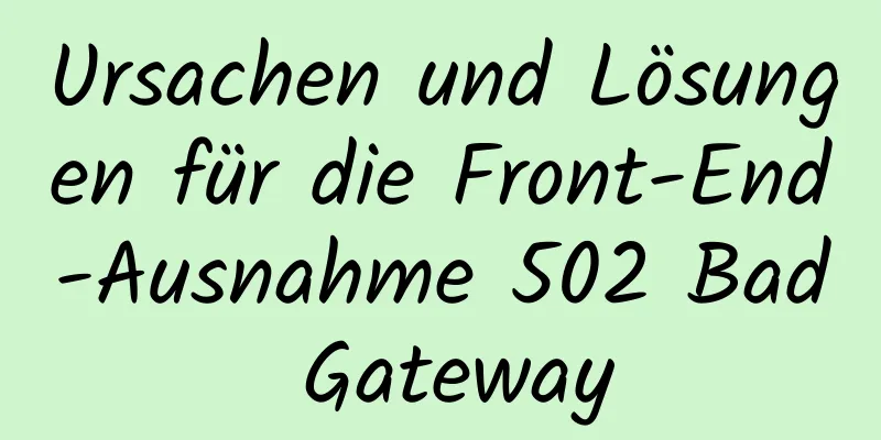 Ursachen und Lösungen für die Front-End-Ausnahme 502 Bad Gateway