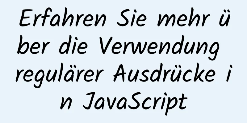 Erfahren Sie mehr über die Verwendung regulärer Ausdrücke in JavaScript