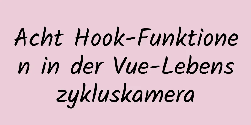 Acht Hook-Funktionen in der Vue-Lebenszykluskamera