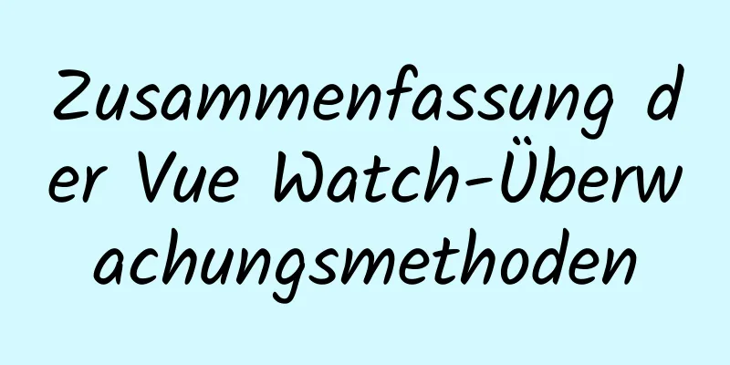 Zusammenfassung der Vue Watch-Überwachungsmethoden