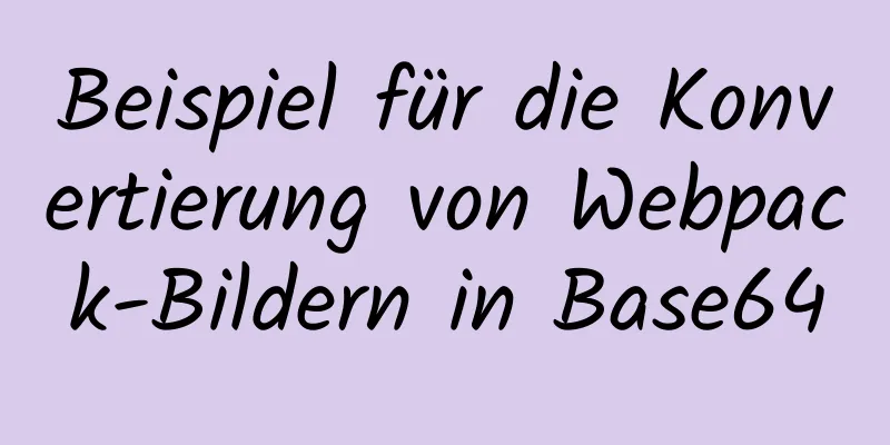 Beispiel für die Konvertierung von Webpack-Bildern in Base64