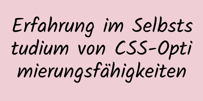 Erfahrung im Selbststudium von CSS-Optimierungsfähigkeiten