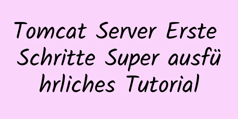 Tomcat Server Erste Schritte Super ausführliches Tutorial