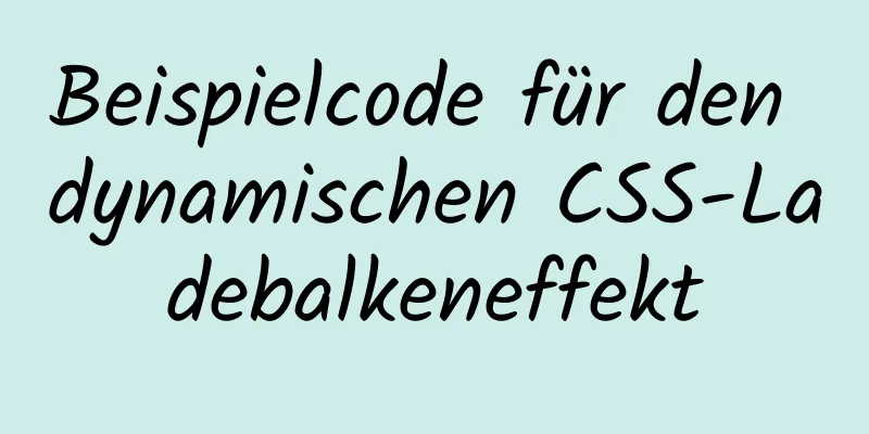 Beispielcode für den dynamischen CSS-Ladebalkeneffekt