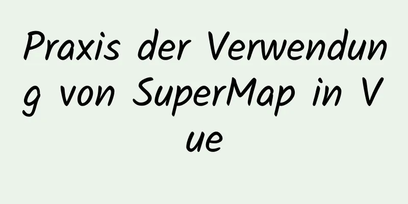 Praxis der Verwendung von SuperMap in Vue