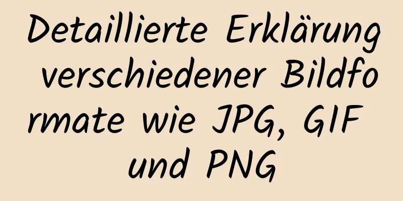 Detaillierte Erklärung verschiedener Bildformate wie JPG, GIF und PNG