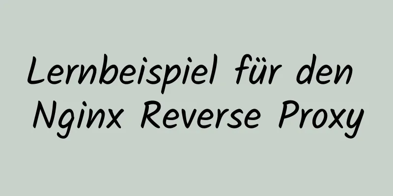 Lernbeispiel für den Nginx Reverse Proxy