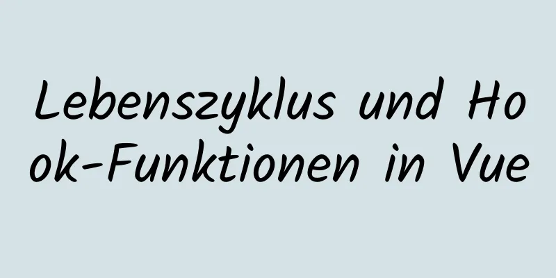 Lebenszyklus und Hook-Funktionen in Vue