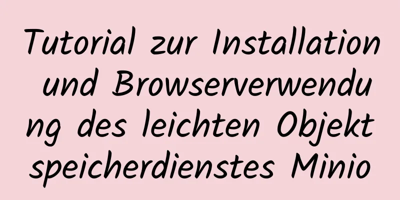 Tutorial zur Installation und Browserverwendung des leichten Objektspeicherdienstes Minio