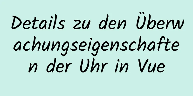 Details zu den Überwachungseigenschaften der Uhr in Vue