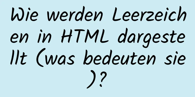 Wie werden Leerzeichen in HTML dargestellt (was bedeuten sie)?