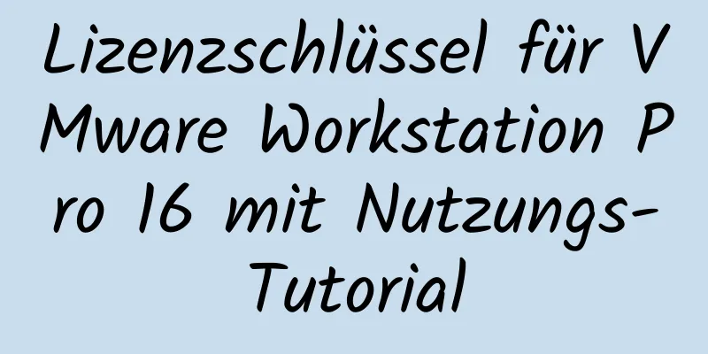 Lizenzschlüssel für VMware Workstation Pro 16 mit Nutzungs-Tutorial