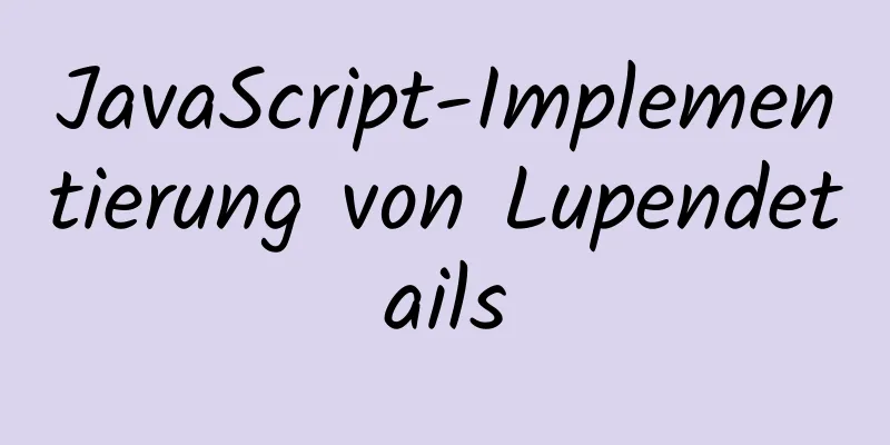 JavaScript-Implementierung von Lupendetails