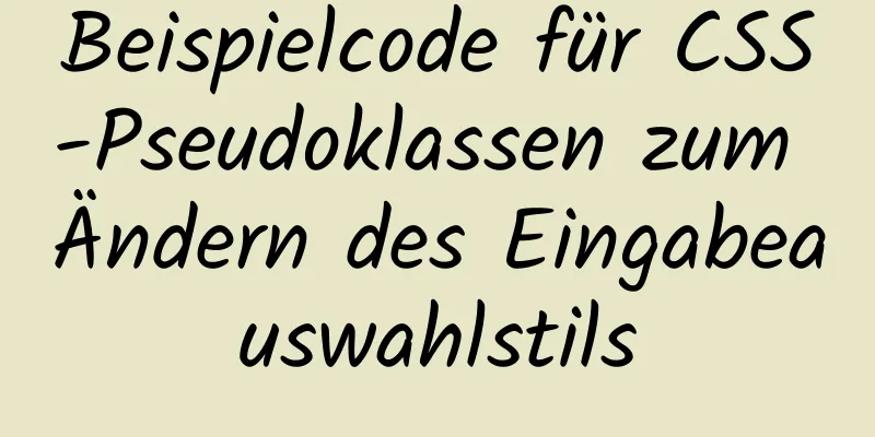 Beispielcode für CSS-Pseudoklassen zum Ändern des Eingabeauswahlstils