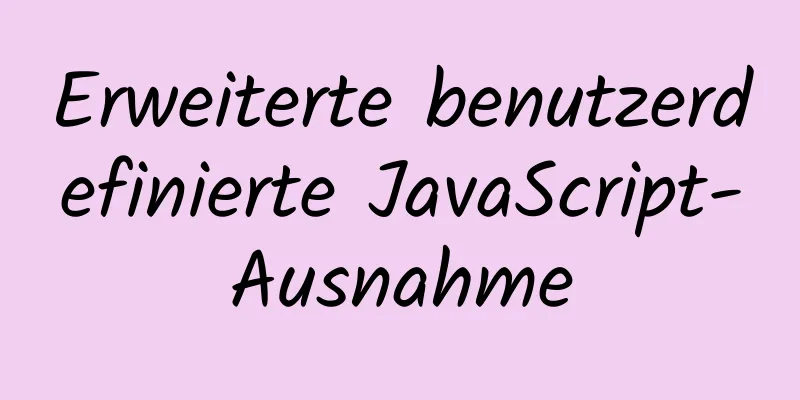 Erweiterte benutzerdefinierte JavaScript-Ausnahme