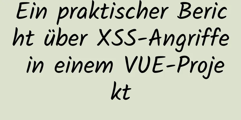 Ein praktischer Bericht über XSS-Angriffe in einem VUE-Projekt