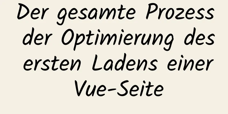 Der gesamte Prozess der Optimierung des ersten Ladens einer Vue-Seite